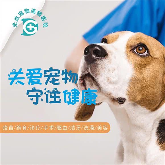 光达宠物诊所(北闸口店):郑州市管城回族区火车站/二七广场附近