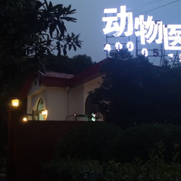 恩宠动物医院(城南路店):郑州市管城回族区火车站/二七广场附近