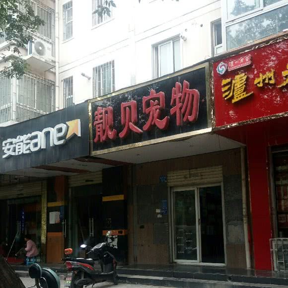 靓贝宠物:郑州市管城回族区康桥商务广场附近