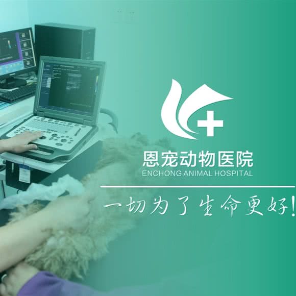 恩宠动物医院(二里岗店):郑州市管城回族区福都生活广场附近