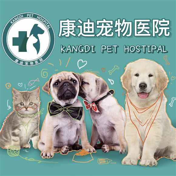 康迪宠物医院:郑州市管城回族区福都生活广场附近