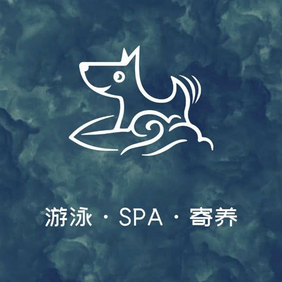 宠浪 Pet Hotel:郑州市管城回族区经开区附近