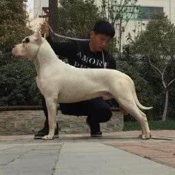 宠爱生活:郑州市管城回族区经开区附近