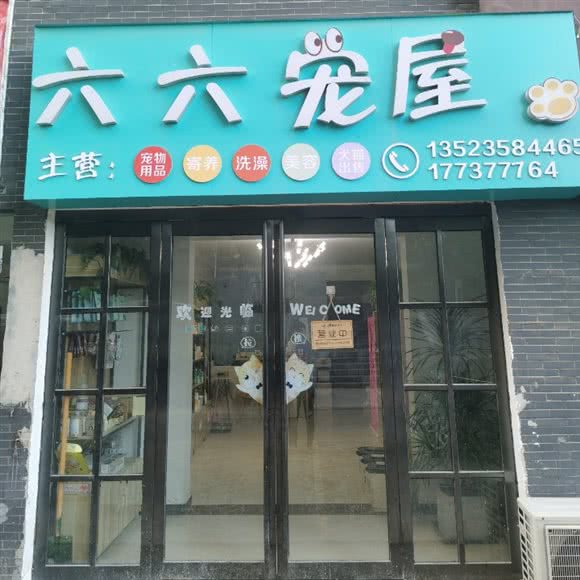 六六宠屋:郑州市管城回族区美景鸿城附近