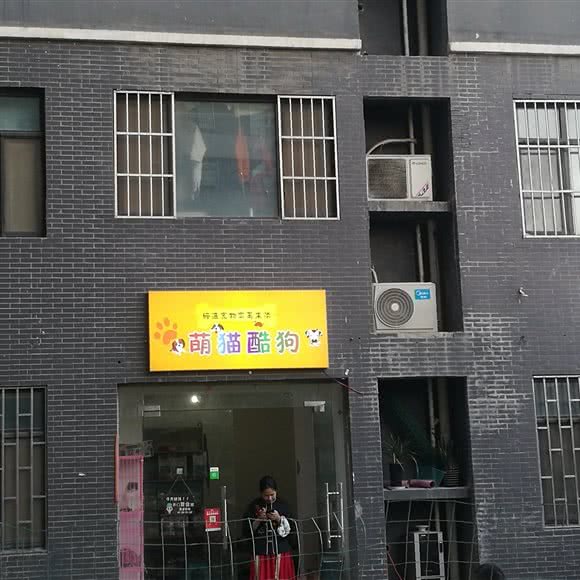 萌猫酷狗:郑州市管城回族区美景鸿城附近