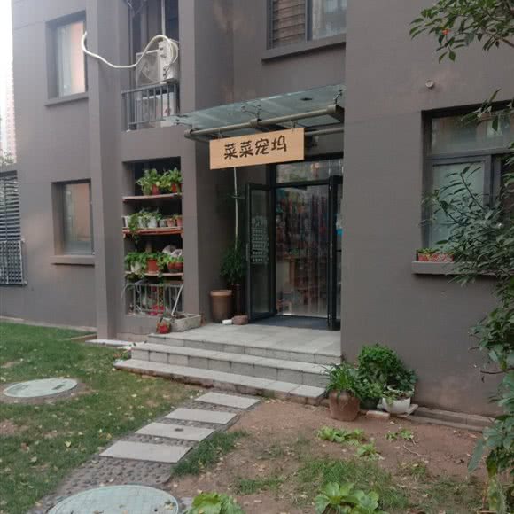 菜菜宠坞:郑州市管城回族区黄河科技大学城附近
