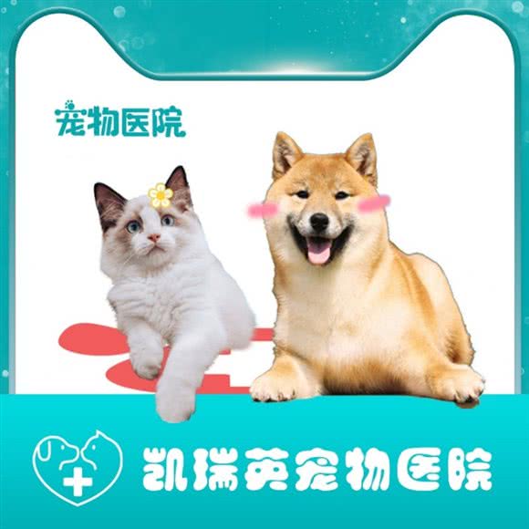 凯瑞英宠物医院:郑州市管城回族区橡树玫瑰城附近