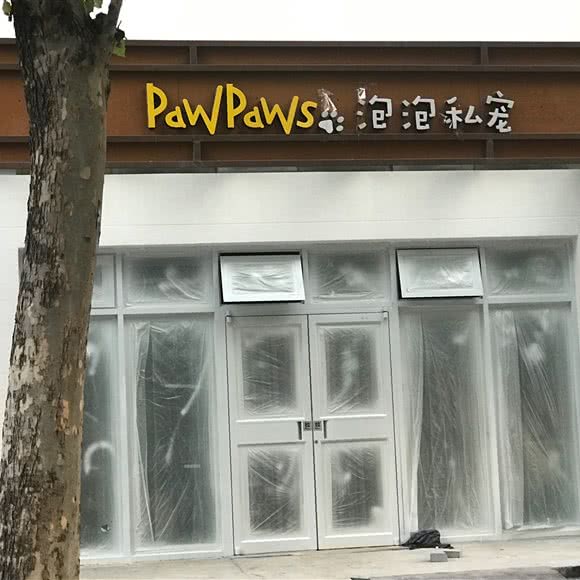 Pawpaws:北京城区朝阳区劲松/潘家园附近