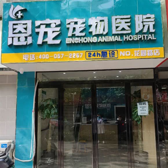恩宠动物医院(花园路店):郑州市金水区国贸360附近