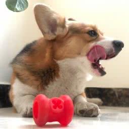 怡宁湾动物医院:郑州市金水区国贸360附近