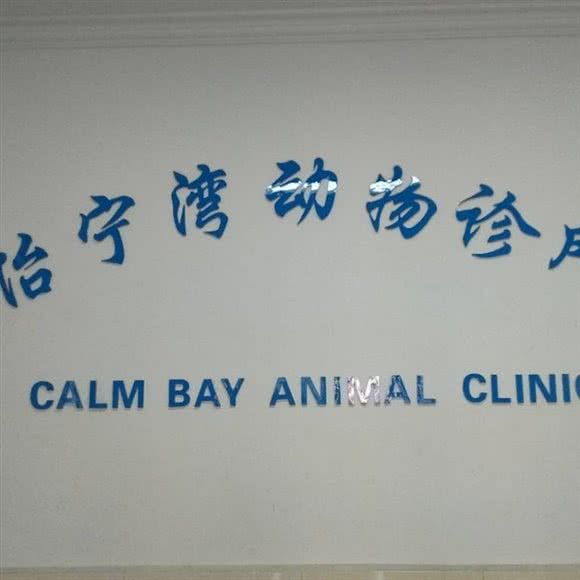 怡宁湾动物诊所:郑州市金水区国贸360附近