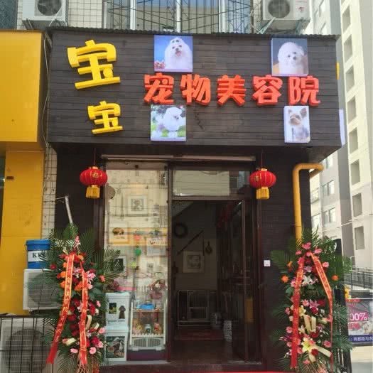 宝宝宠物美容院:郑州市金水区金水路/省政府附近