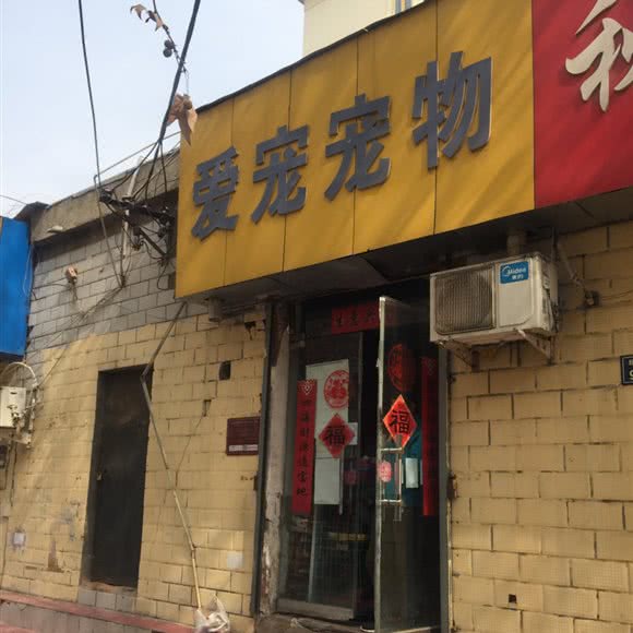 爱宠宠物:郑州市金水区金水路/省政府附近