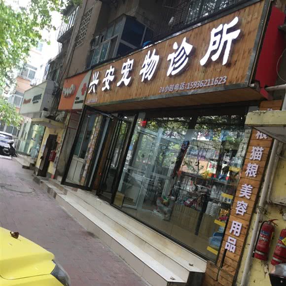 郑州24小时宠物医院:郑州市金水区人民路/紫荆山附近