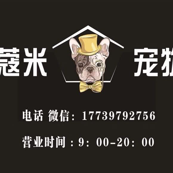 蔻米宠物(已闭店)(猫咪洗护专门店):郑州市金水区东风路附近