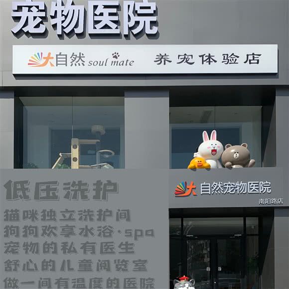 大自然宠物医院:郑州市金水区东风路附近