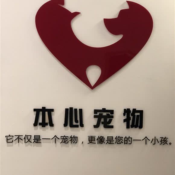 本心宠物:郑州市金水区曼哈顿广场/英协路附近