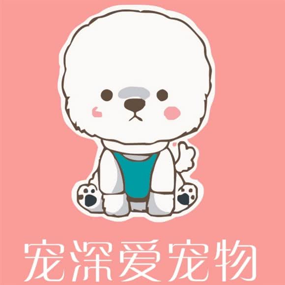 宠深爱高端宠物美容:郑州市金水区曼哈顿广场/英协路附近