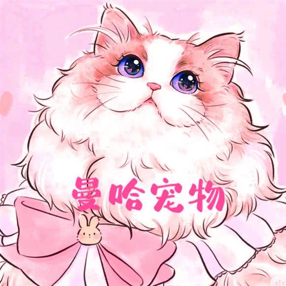 曼哈宠物精品布偶(曼哈顿店):郑州市金水区曼哈顿广场/英协路附近