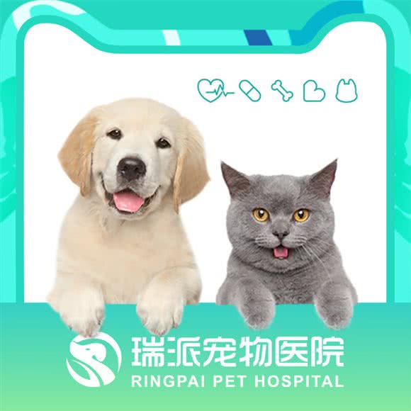 瑞派济宠堂宠物医院:郑州市金水区曼哈顿广场/英协路附近