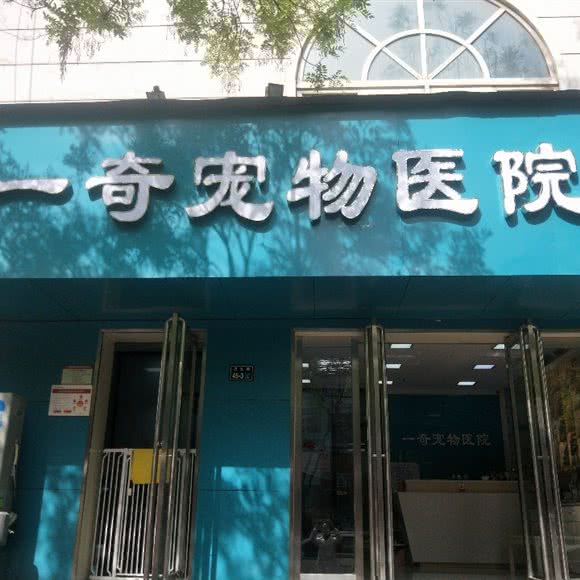 一奇宠物医院(黄河路店):郑州市金水区大石桥/体育场附近