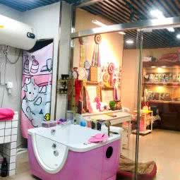 爱宠仕宠物会所:北京城区朝阳区劲松/潘家园附近