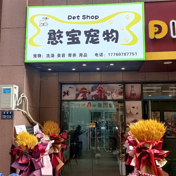 憨宝宠物:郑州市金水区经三路沿线附近