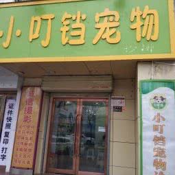 小叮铛宠物:郑州市金水区经三路沿线附近
