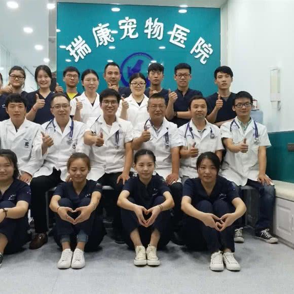 宠爱瑞康宠物医院24小时转诊中心(东明路店):郑州市金水区经三路沿线附近