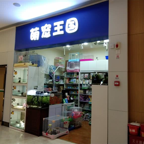 萌宠王国:郑州市金水区科技市场/硅谷广场附近