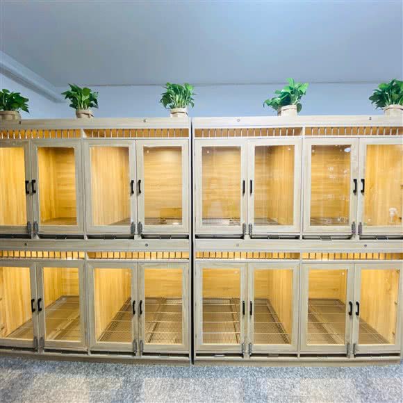 漪依宠物:天津城区河北区中山路附近