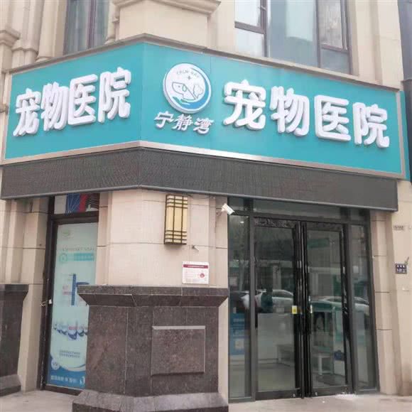 宁静湾宠物医院:郑州市金水区科技市场/硅谷广场附近