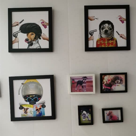 狗窝宠物美容店:天津城区河北区中山路附近