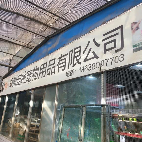 宠她宠物:郑州市金水区陈砦附近