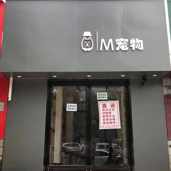 M宠物:郑州市金水区陈砦附近