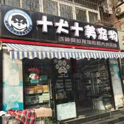十犬十美:天津城区河北区中山路附近