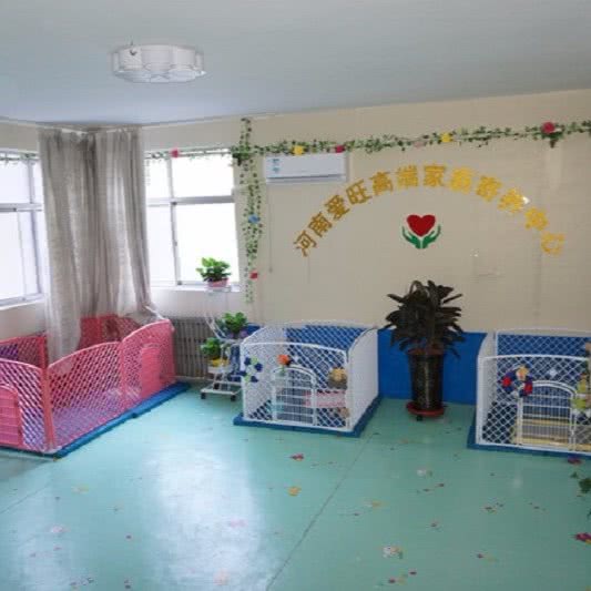 爱旺宠物生活馆(圣康店):郑州市金水区东建材附近