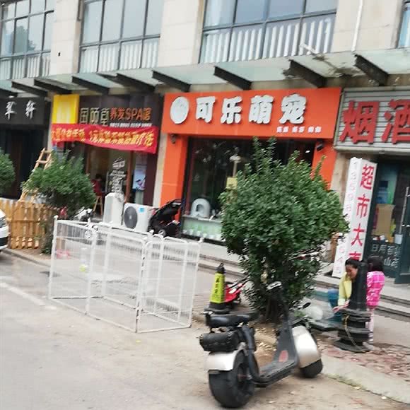 可乐萌宠:郑州市金水区东建材附近