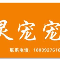 灵宠宠物生活馆:郑州市金水区东建材附近