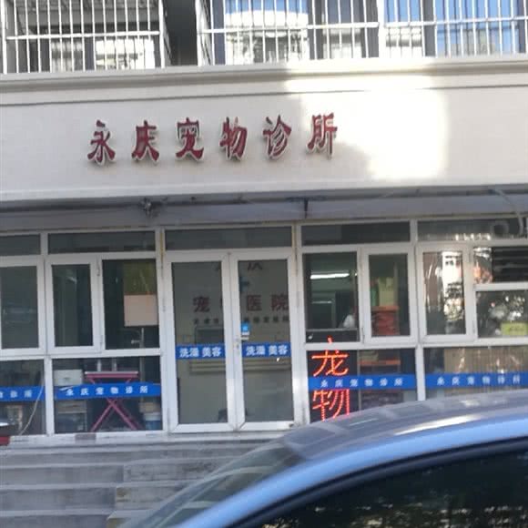 永庆宠物医院:天津城区河北区中山路附近
