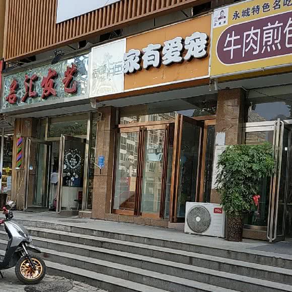 家有爱宠:郑州市金水区省电视台附近