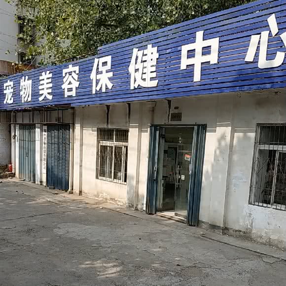 宠物美容保健中心:郑州市金水区省电视台附近
