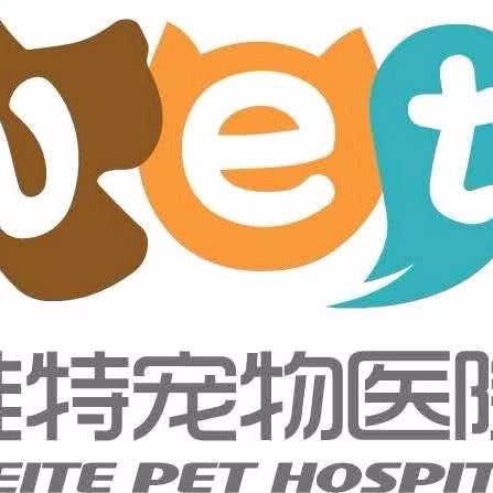 维特宠物医院:郑州市金水区省电视台附近