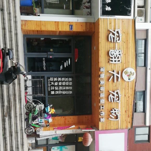 宠翻天宠物:郑州市金水区柳林刘庄附近