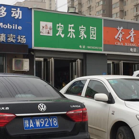 宠乐宠物诊所:郑州市金水区柳林刘庄附近