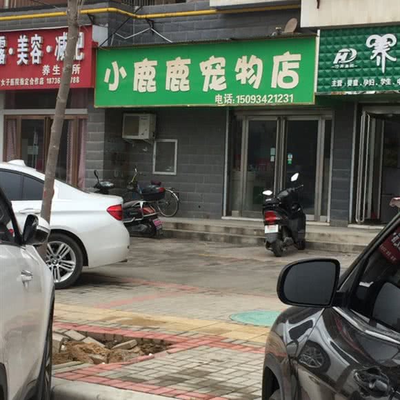 小鹿宠物狗诊所:郑州市金水区普罗旺世/庙李附近