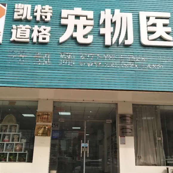 凯特道格宠物医院(国基路店):郑州市金水区普罗旺世/庙李附近