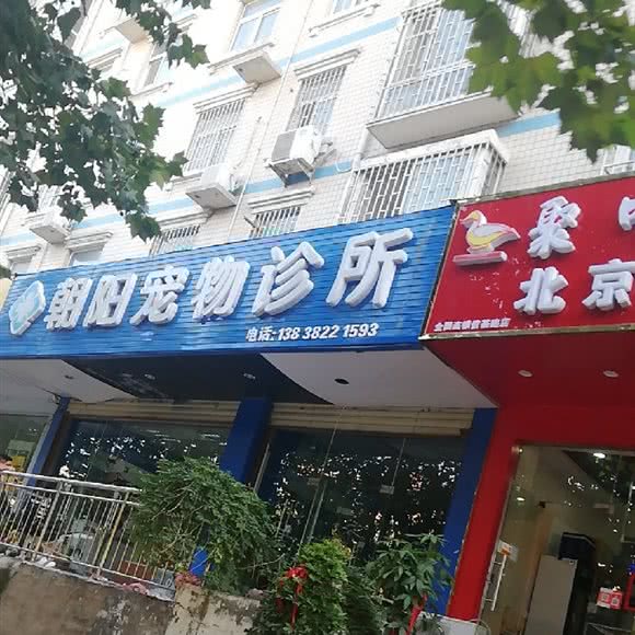 朝阳宠物诊所:郑州市金水区普罗旺世/庙李附近