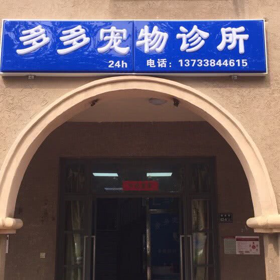 多多宠物医院(普罗旺世店):郑州市金水区普罗旺世/庙李附近