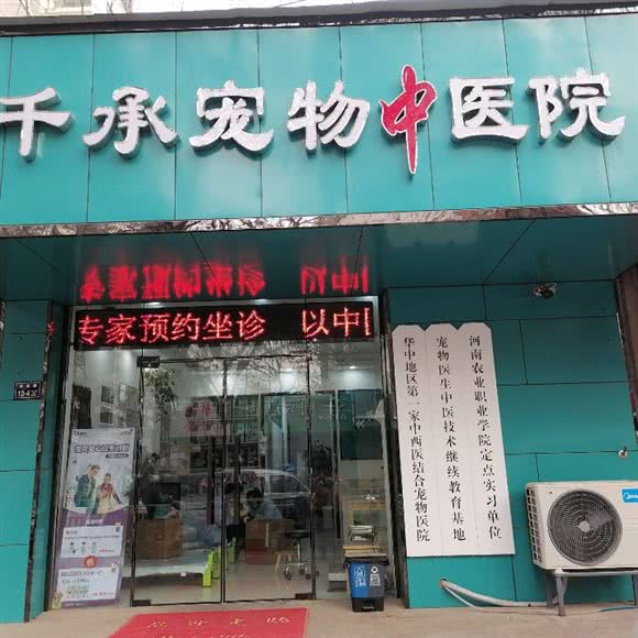 千承宠物中医院:郑州市金水区普罗旺世/庙李附近